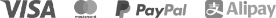 VISA, mastercard, Paypal, Alipay Logo